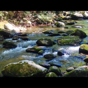 Meet your Posher, Monica